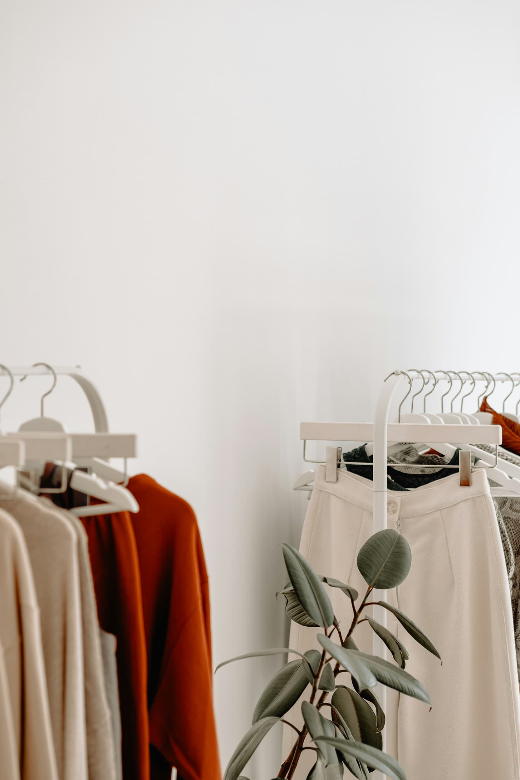 A curated fashion showroom with warm clothing accents and a potted plant